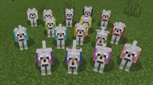 How to Tame Every Animal in Minecraft – Full Guide | My Lead Games