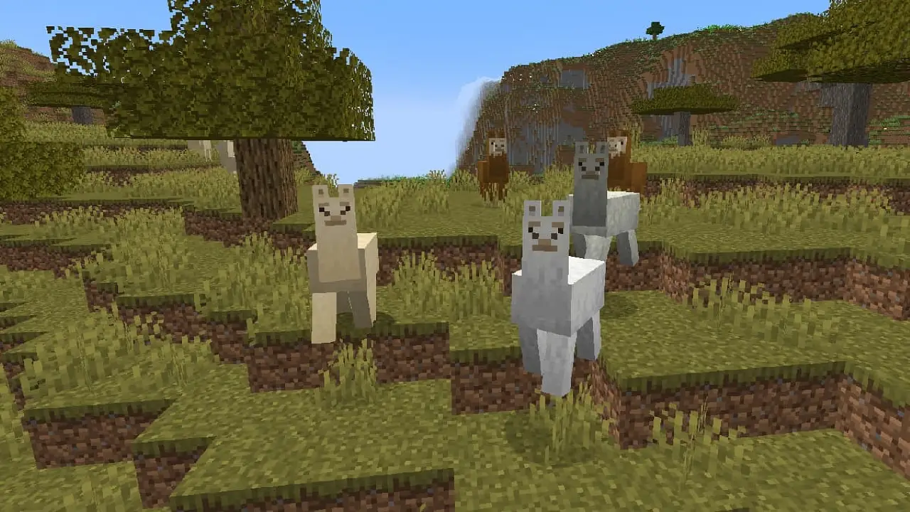 mastering-llama-taming-in-minecraft