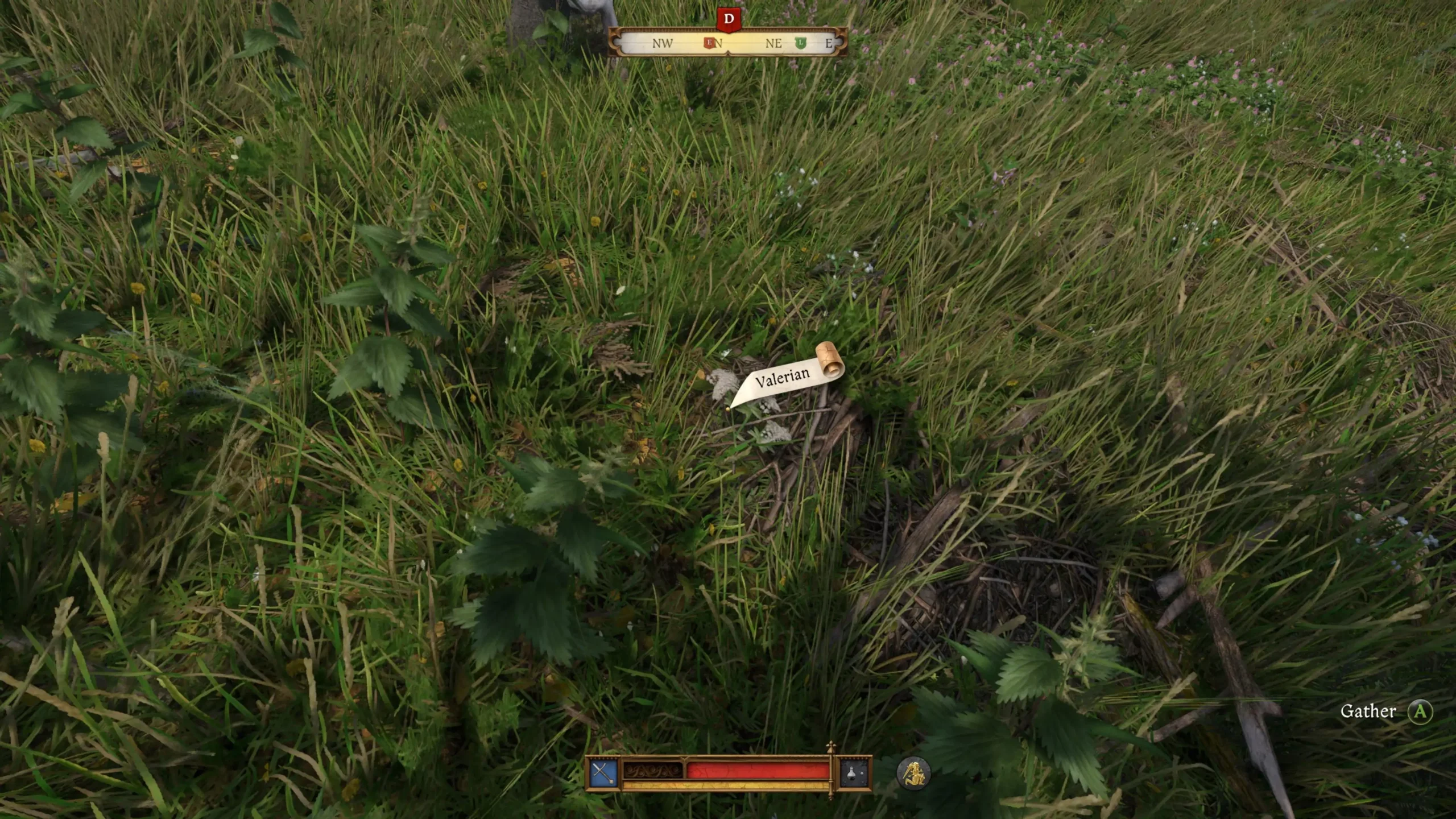 valerian-in-kingdom-come-deliverance-2