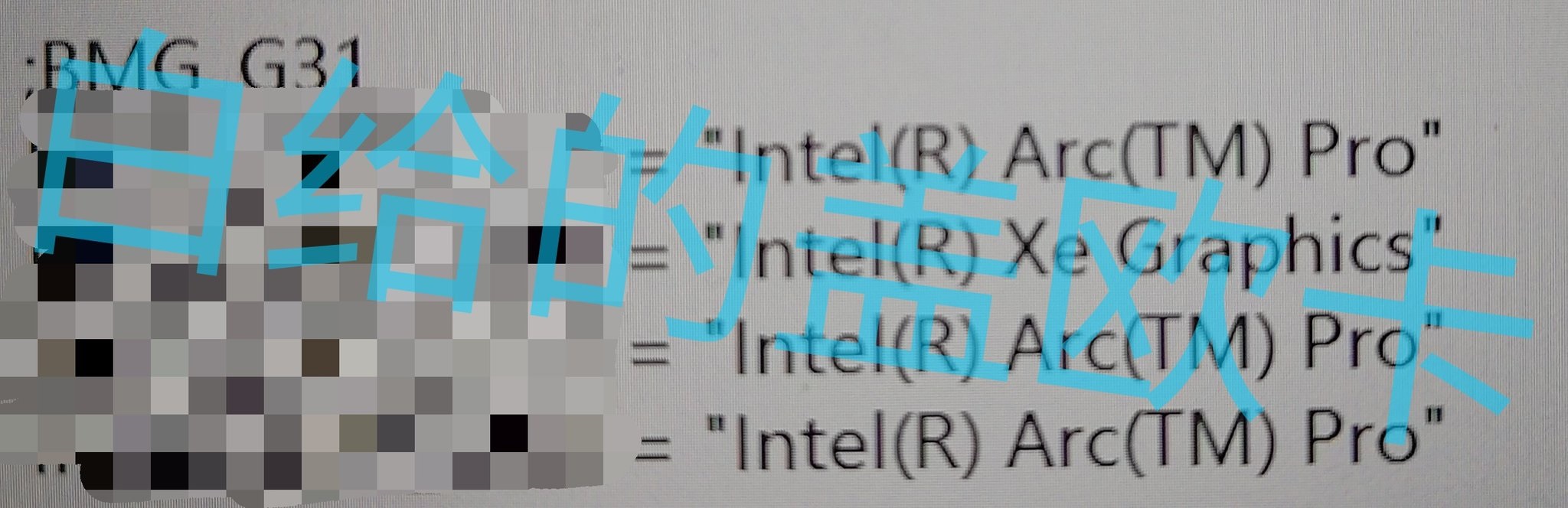Intel Arc(TM) Pro and Intel Xe Graphics names appear on a screen behind blurred text.