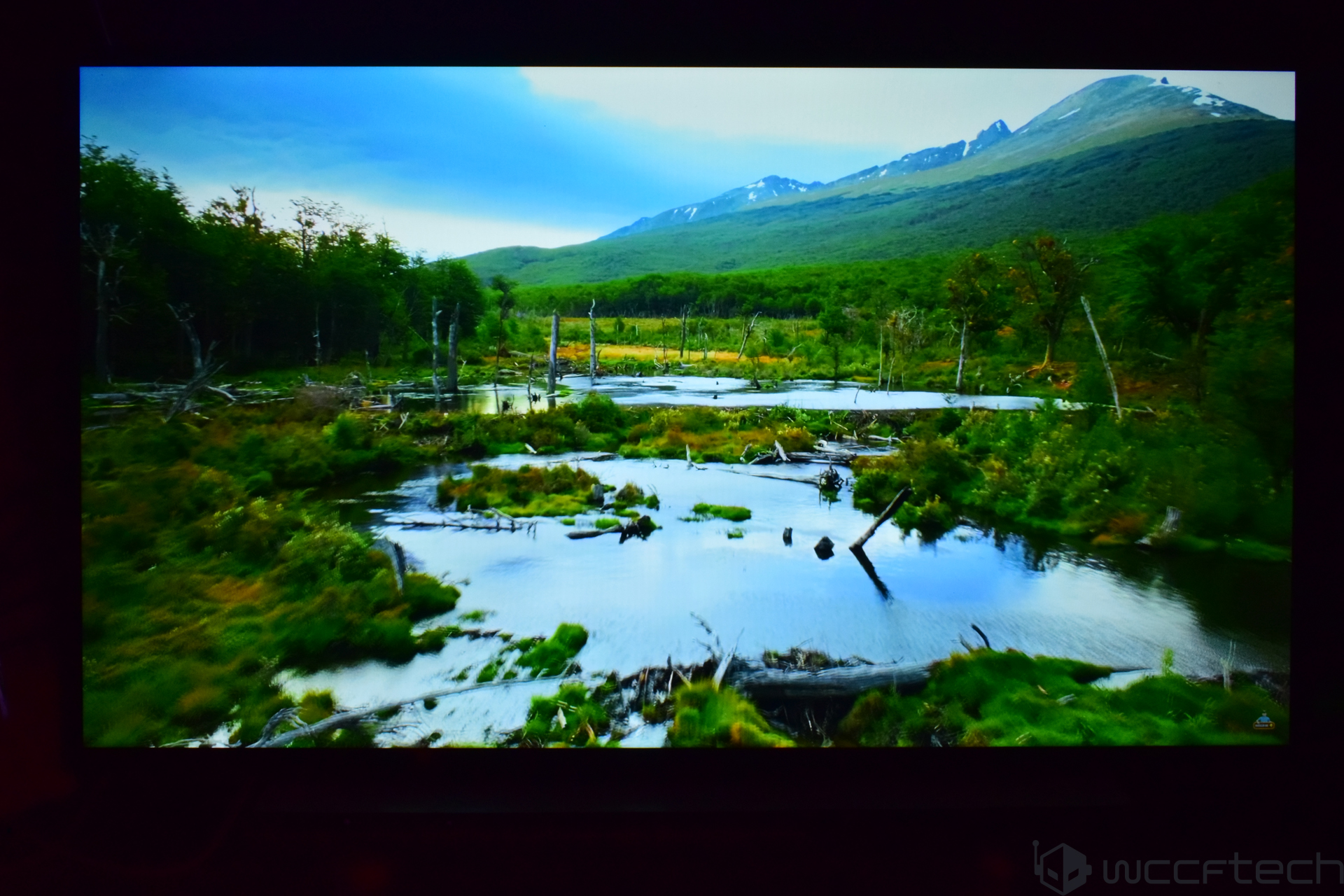 Natural landscape displayed on a screen with wccftech logo in the corner.