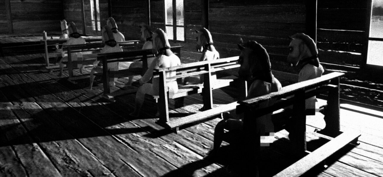 GOG Rides Into the Spotlight: Embracing Player Choice After Steam's Horse Ban