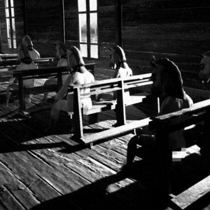 GOG Rides Into the Spotlight: Embracing Player Choice After Steam's Horse Ban