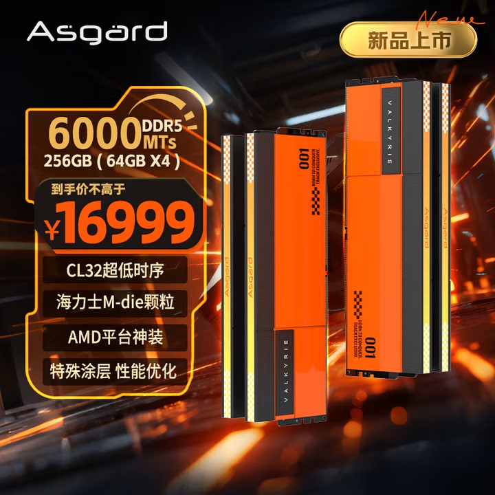 Asgard Valkyrie DDR5 RAM modules with '6000 DDR5 MT/s' and '256GB (64GB X4)' are displayed alongside the price '¥16999'.
