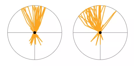 Two radar plots with varying orange line patterns radiating from a central black dot.