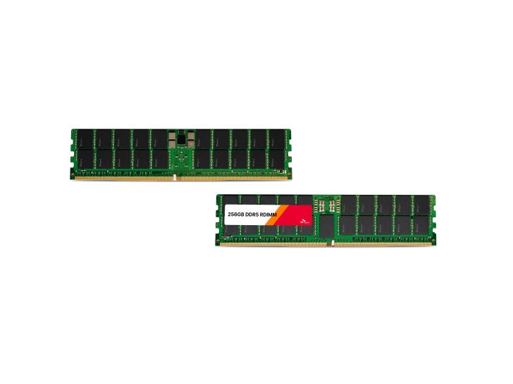 Two Samsung DDR5 RDIMM modules are shown, one labeled '256GB DDR5 RDIMM.'