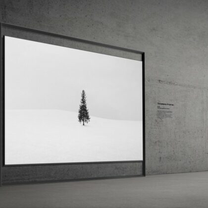 Samsung Launches Giant 130-Inch Micro RGB TV and Cutting-Edge Gaming QLEDs and OLEDs, Featuring 48″ S95H With 165Hz Refresh Rate